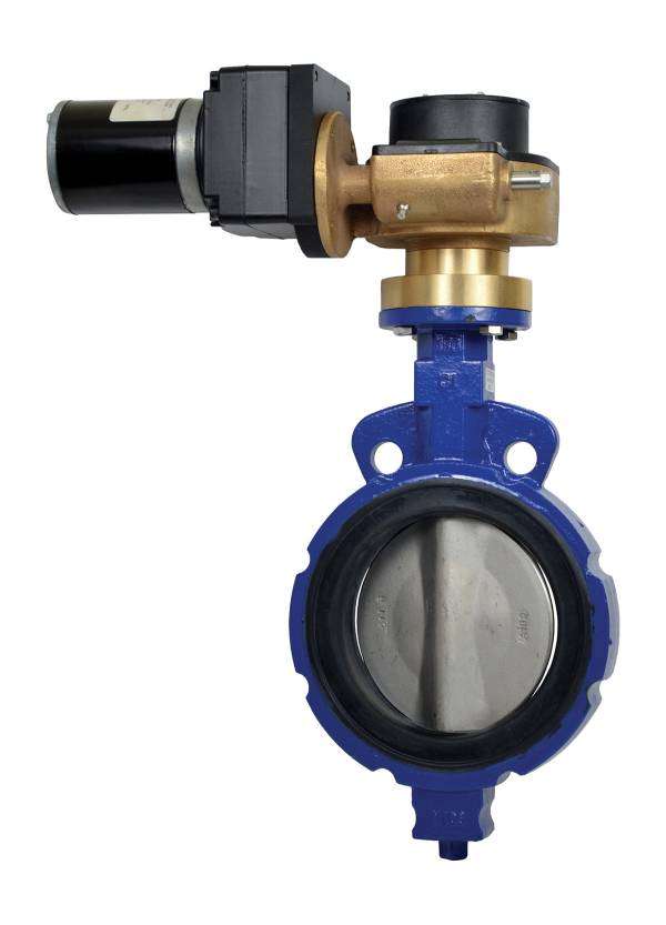 Butterfly Valve